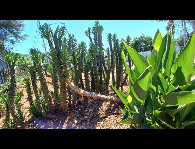 3 BEDROOM HOUSE FOR SALE IN DASPOORT